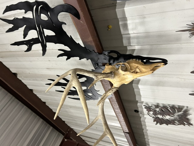 Custom CNC plasma cut bracket and mount