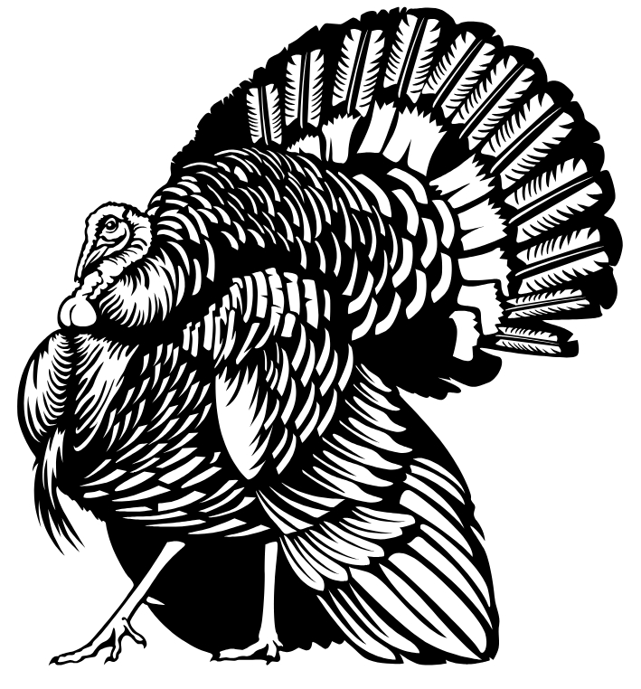 Fabrication project photo 20